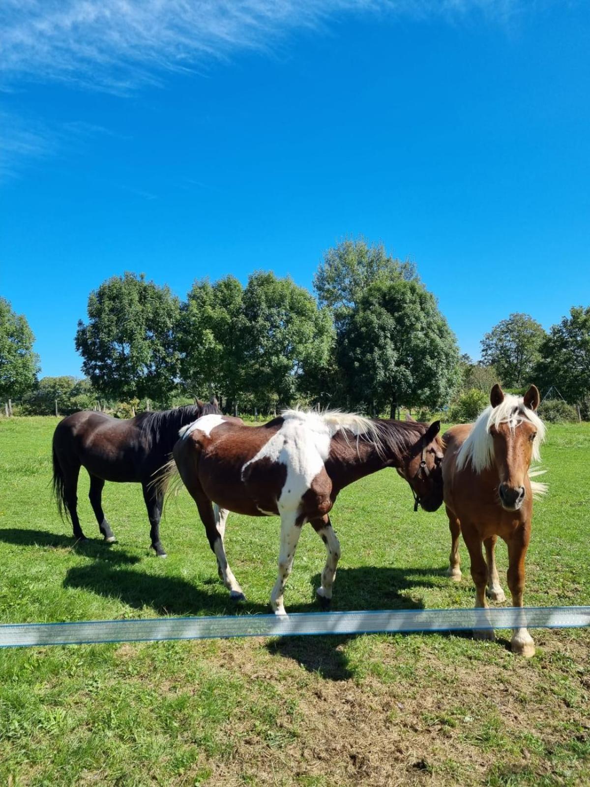 Chambres D'Hotes Sous Les Chenes Gondenans-Montby Bagian luar foto